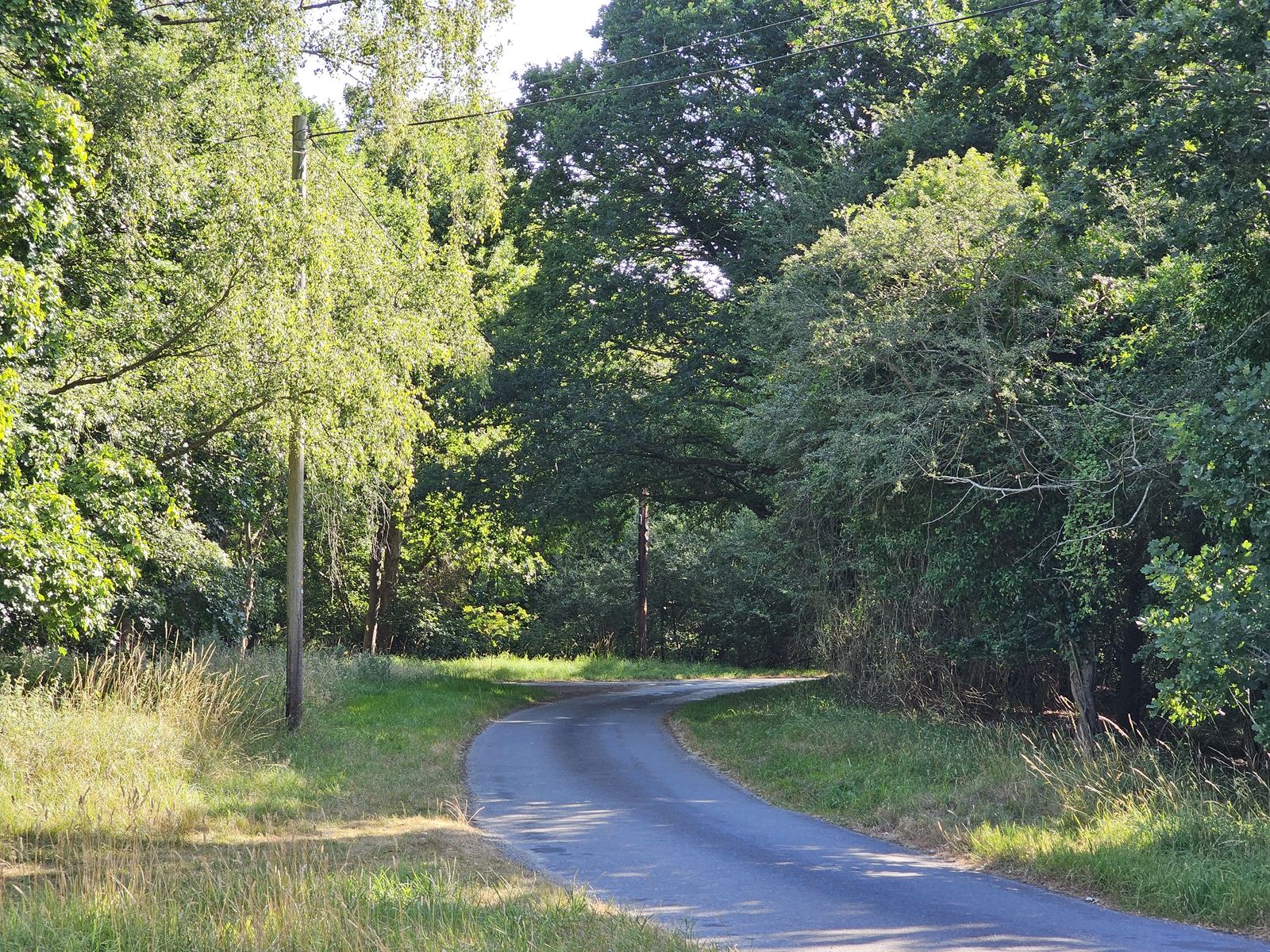 A quiet lane near Hanworth Common